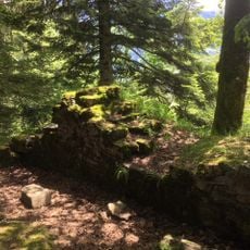 Ruine Bürg
