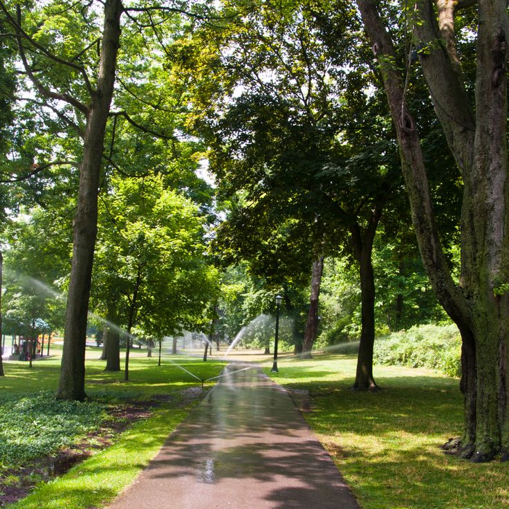 Queen Victoria Park