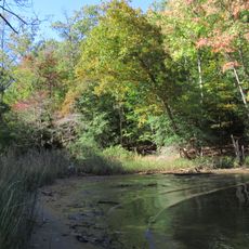 Martins Pond Site