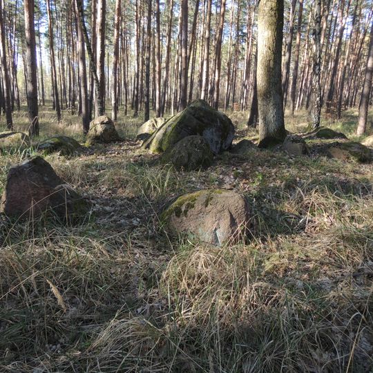 Großsteingrab ALV 6