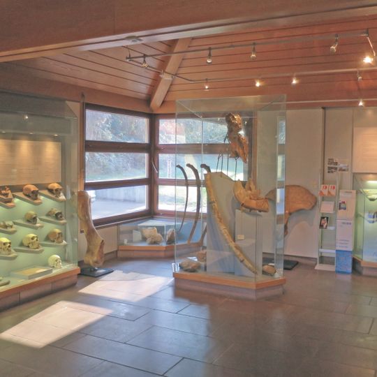 Urgeschichtliches Museum im Rathaus
