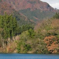 Nakanojo