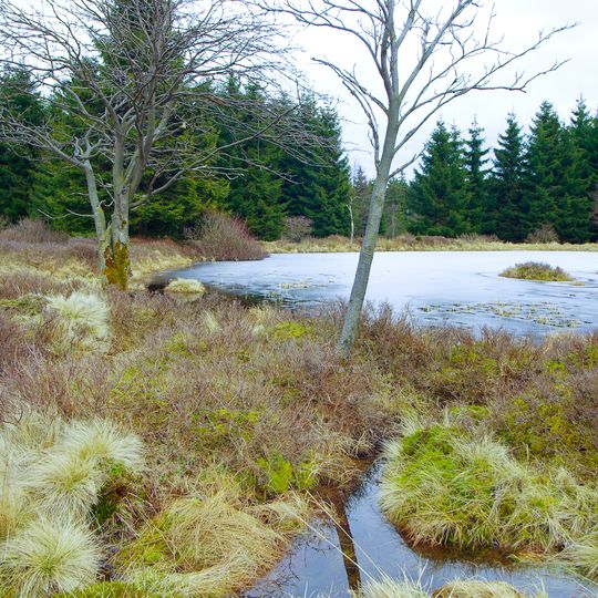 Rašeliniště u myslivny