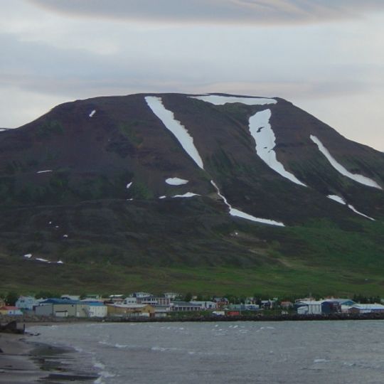 Dalvíkurbyggð