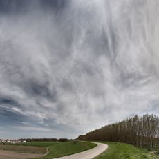 Riserva regionale Garzaia di Pomponesco