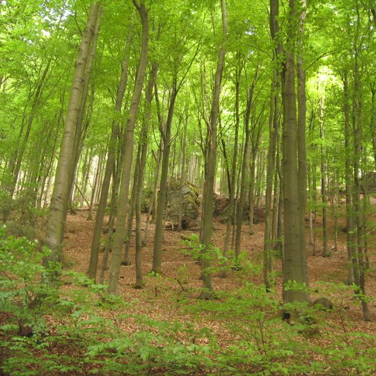 Naturdenkmal Felsgruppen Overlackenberg