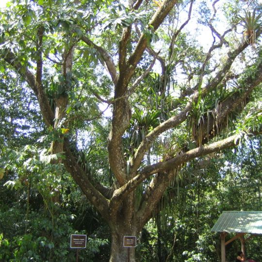 Guanacaste National Park