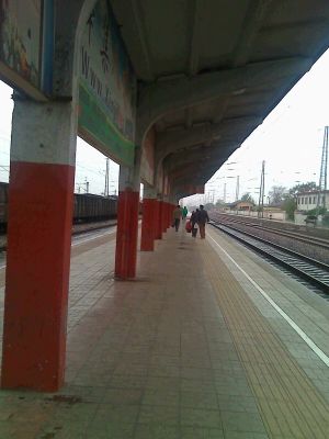 Immagine alternativa