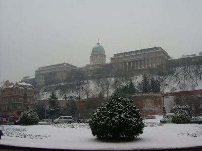Winter 5
