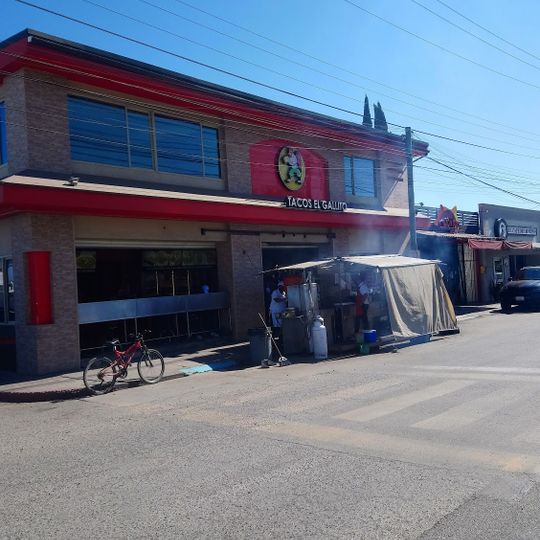 Tacos El Gallito