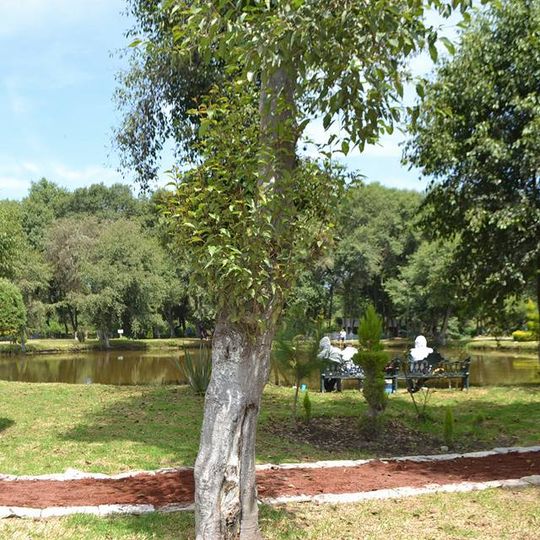 Parque ecológico Los Ladrillos