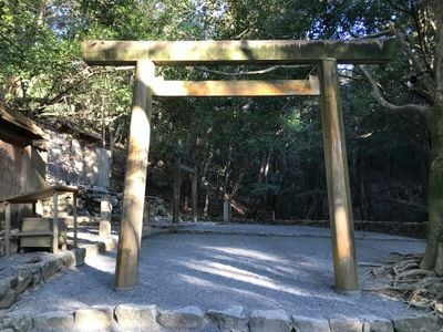 Entrée 1