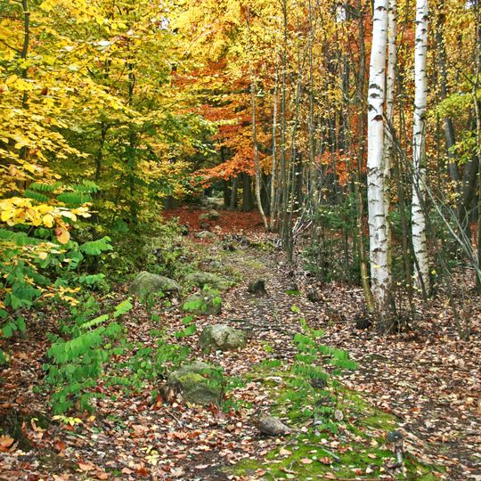 Kounovské kamenné řady