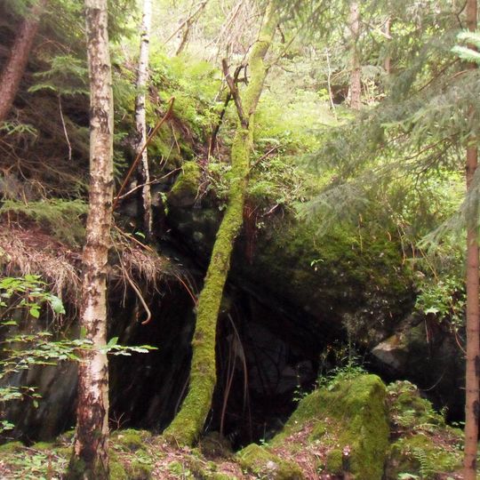 T-S 59 U břízy casemate