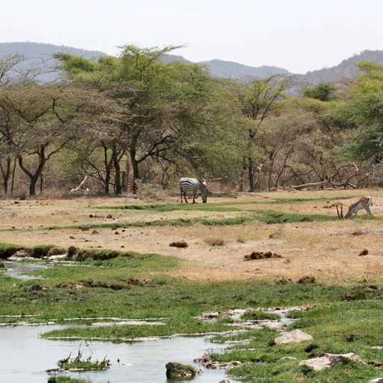 Buffalo Springs National Reserve