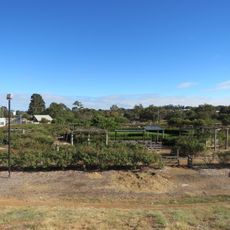 The Kodja Place Rose Maze