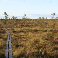 Parque nacional de Store Mosse