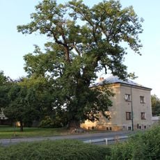 Jasan na Husově náměstí