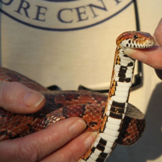 Chattahoochee Nature Center