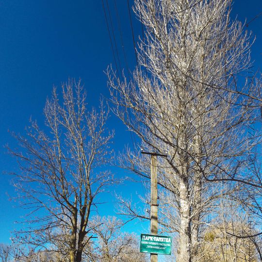 Tiutiunnykivskyi Park