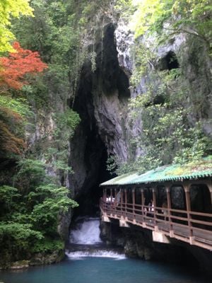 입구 1