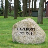 Havekost