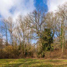 Rotbachtal
