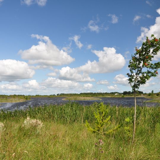 Boora bog