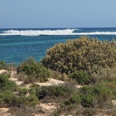 Costa de Ningaloo
