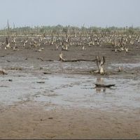 divisione del Lower River