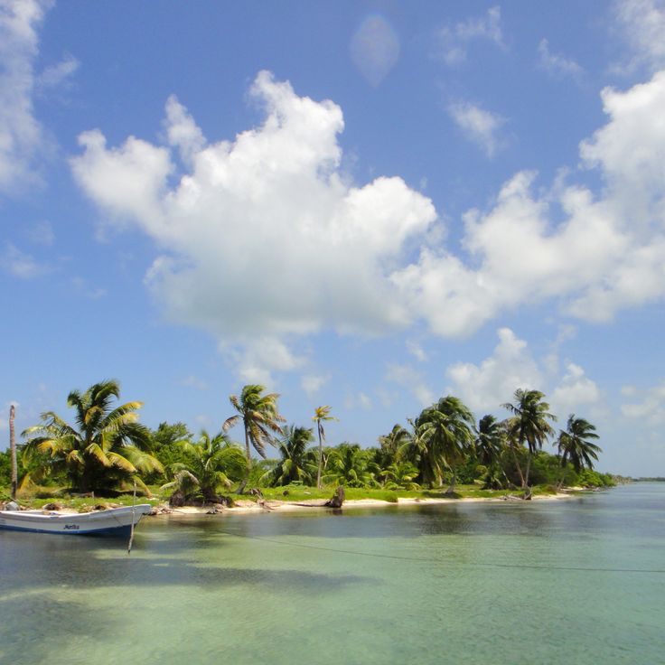 Turneffe Atoll Marine Reserve