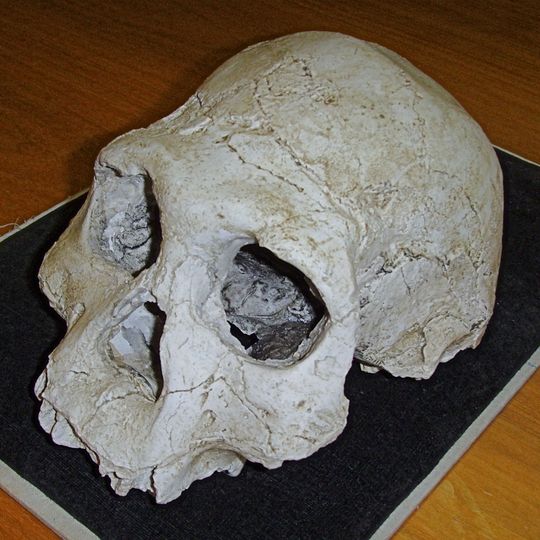 Dmanisi Hominid Archaeological Site