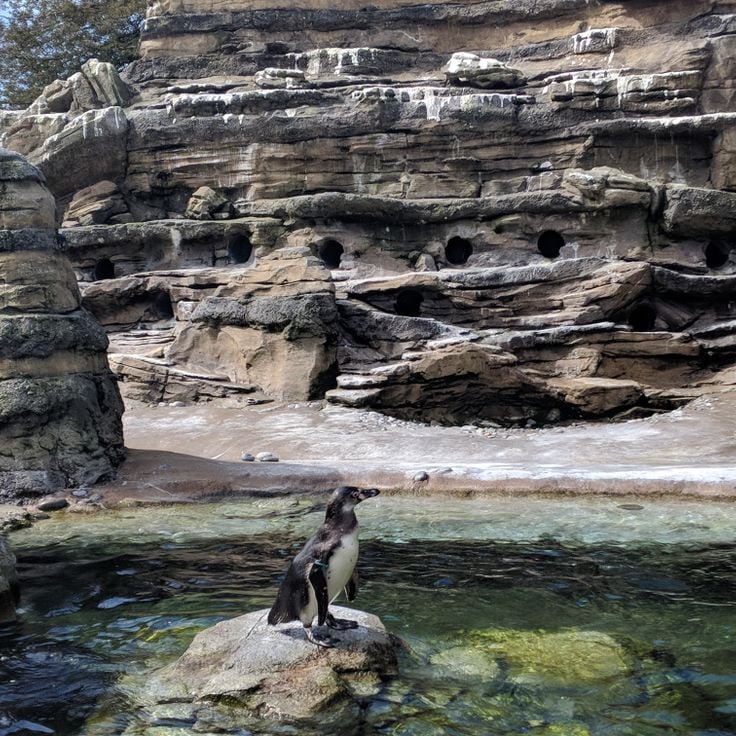 Woodland Park Zoo