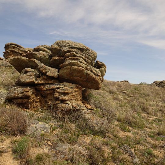 Natural Monument "Sinegorskaya firry grove"