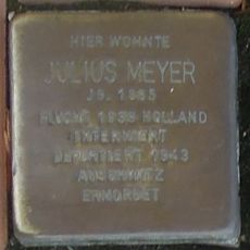 Julius Meyer