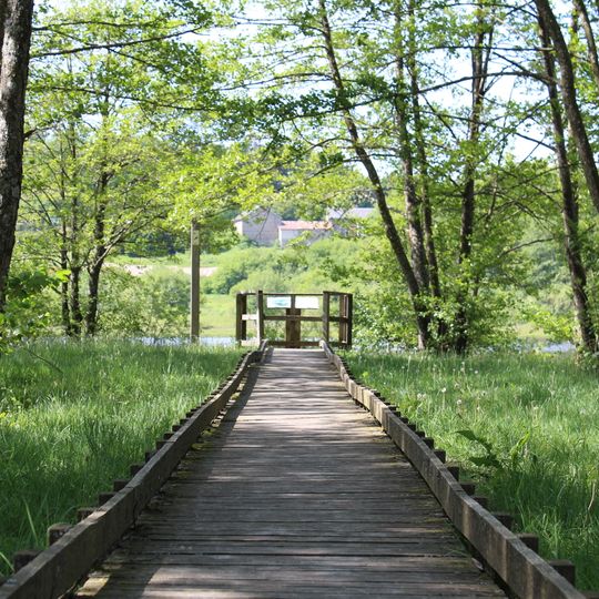 Tourbières Du Morvan