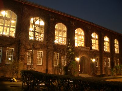 At night 2