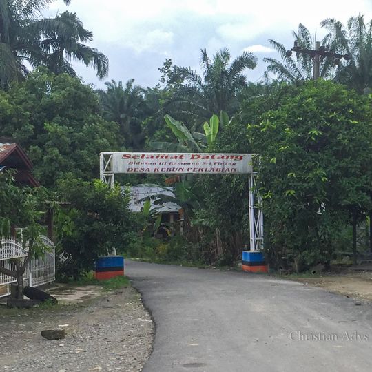 Perkebunan Perlabian