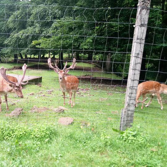 Ökologisches Beobachtungsgehege Walldürn