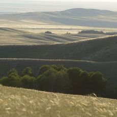 Réserve naturelle d'Orenbourg