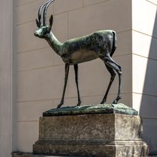 Gazelle
