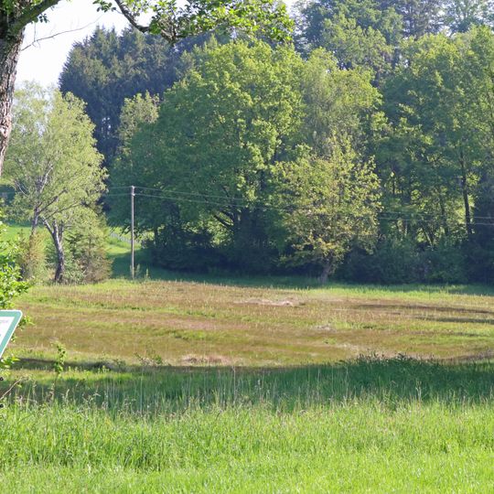 Quellmoore bei Englisreute