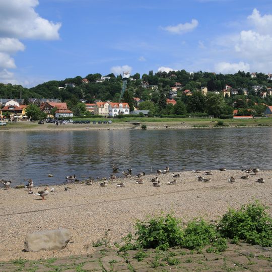 Dresdner Elbwiesen und -altarme