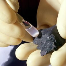 Murchison meteorite