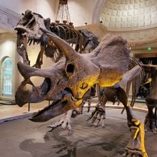 Natural History Museum of Los Angeles County