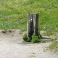 Fountain Playground Rietpark