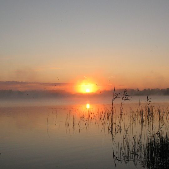 Cheremoshne Preserve