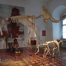 Museum für Ur- und Frühgeschichte auf der Willibaldsburg