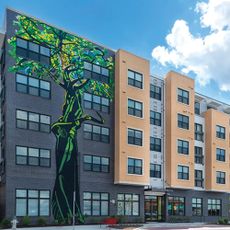 The Silver Creek Senior Living logo is a majestic tree that is reflective of the importance of maintaining the tree canopy in the Kensington Community and Rock Creek Regional Park.