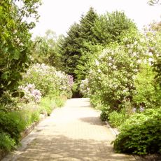 Experimental Garden Jean Massart